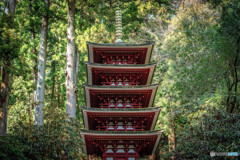 五重の塔