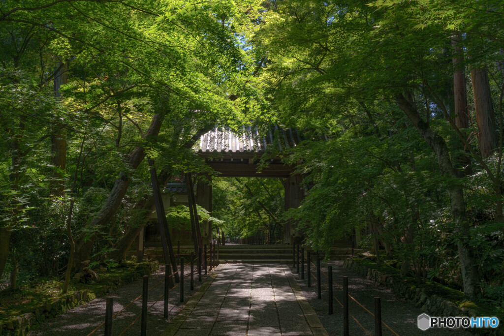 光明寺