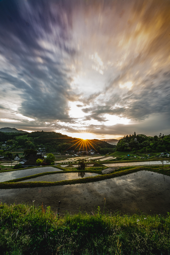 棚田の朝