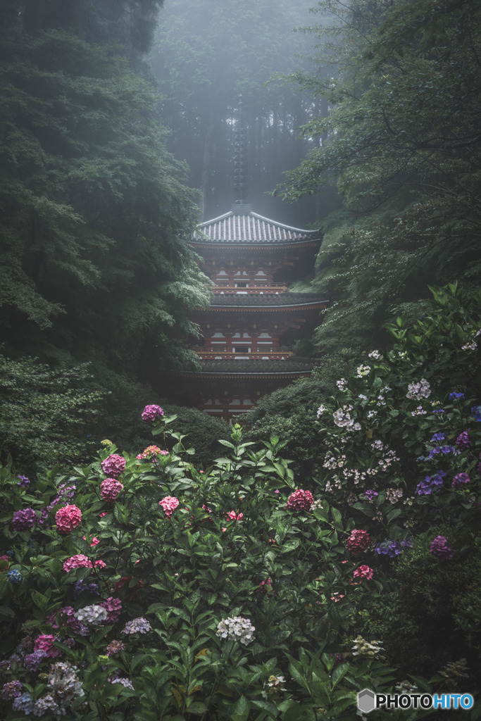 本気の・・・