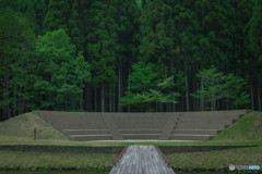 舞台「みどり」