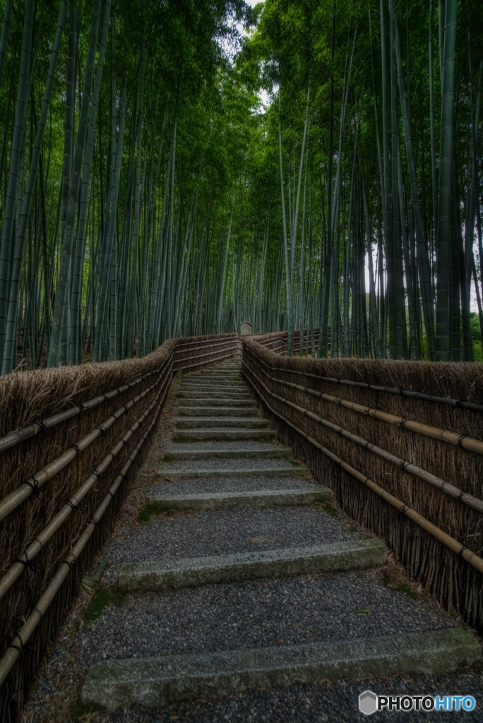 たけ