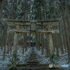 雪の賀茂神社