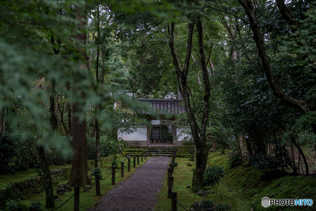 雨上がりの地蔵院