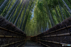 あだし野念仏寺