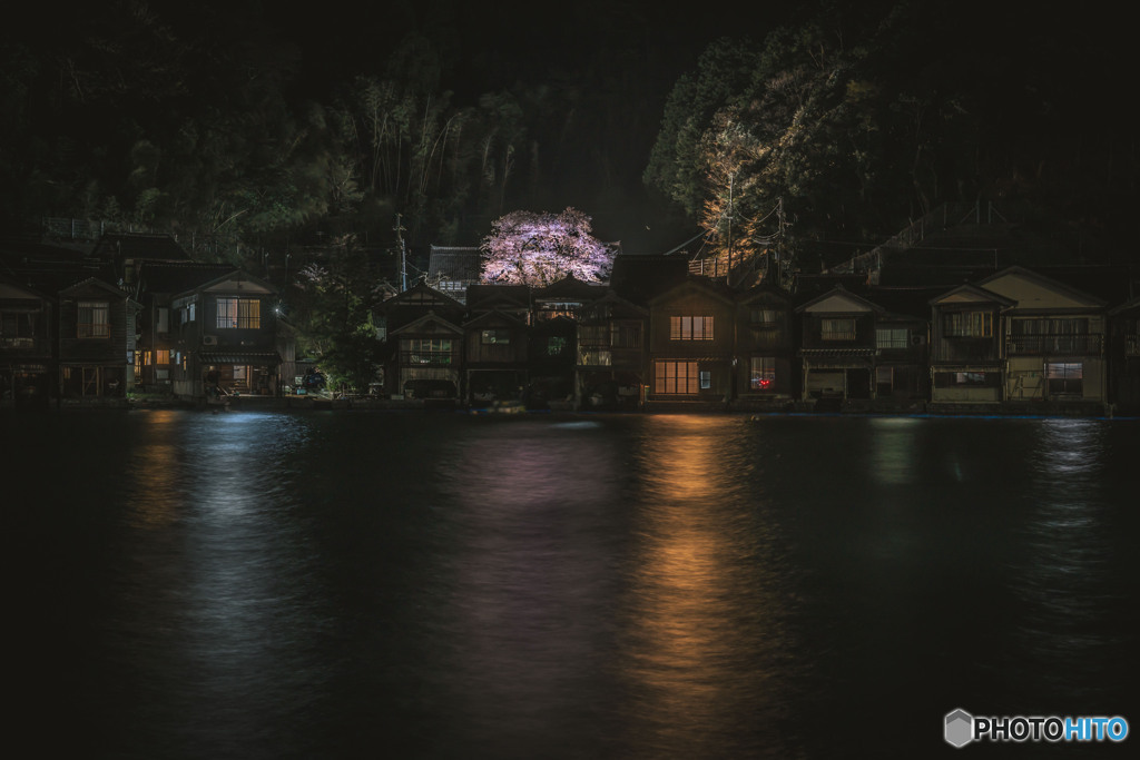 舟屋のSakura