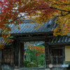 京の秋