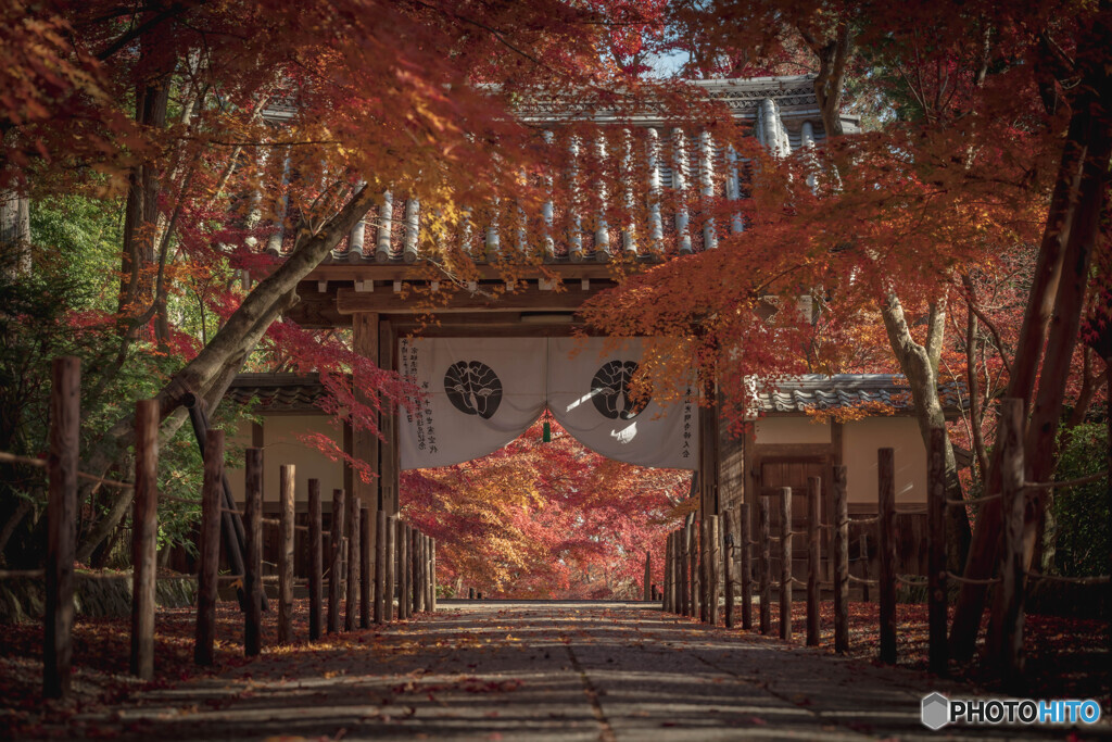 光明寺の山門