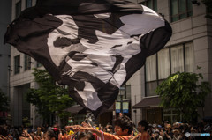  FLAG