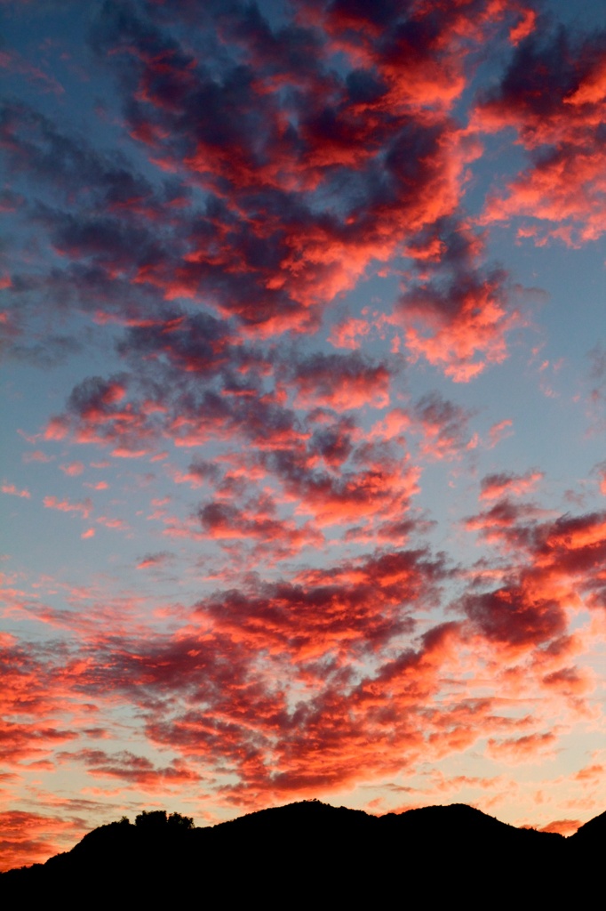 秋の空