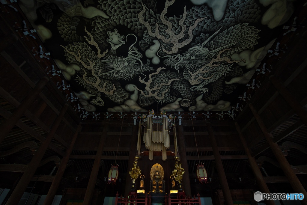 「双竜」