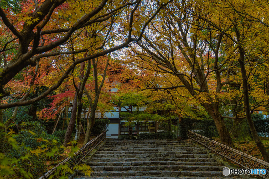 晩秋「龍安寺」