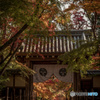 光明寺