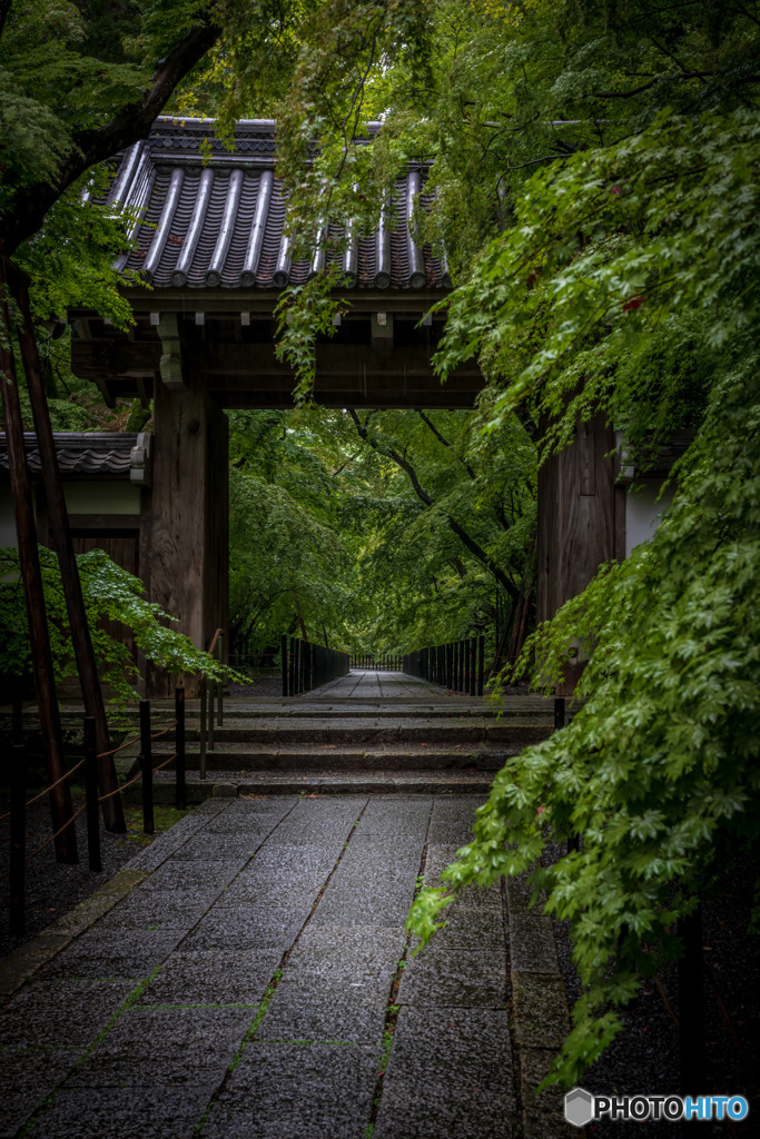 雨の光明寺