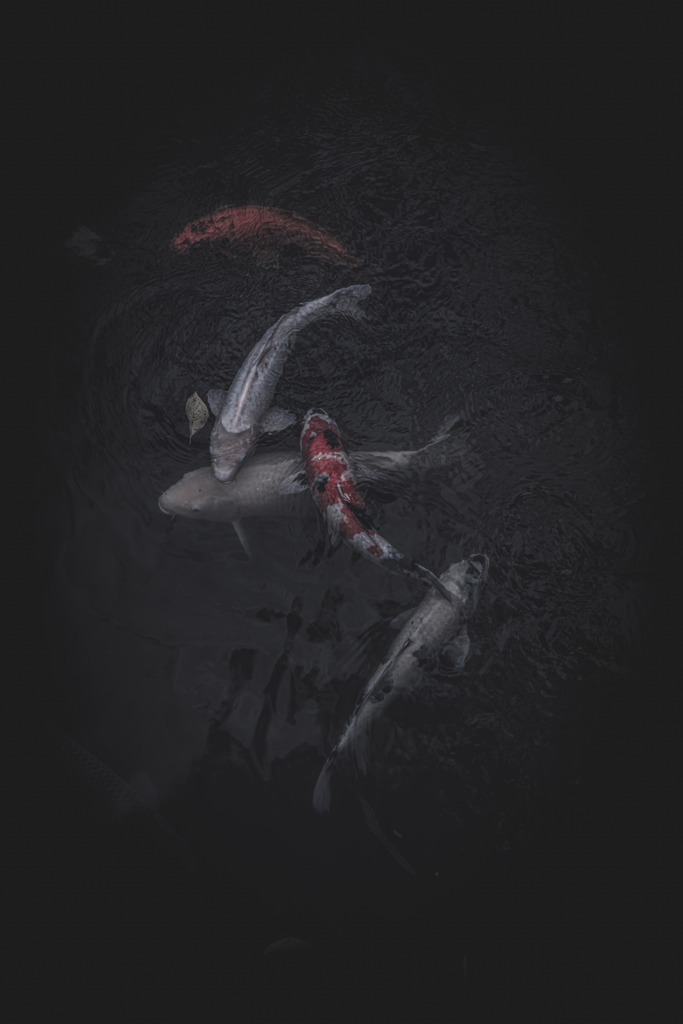 「恋」