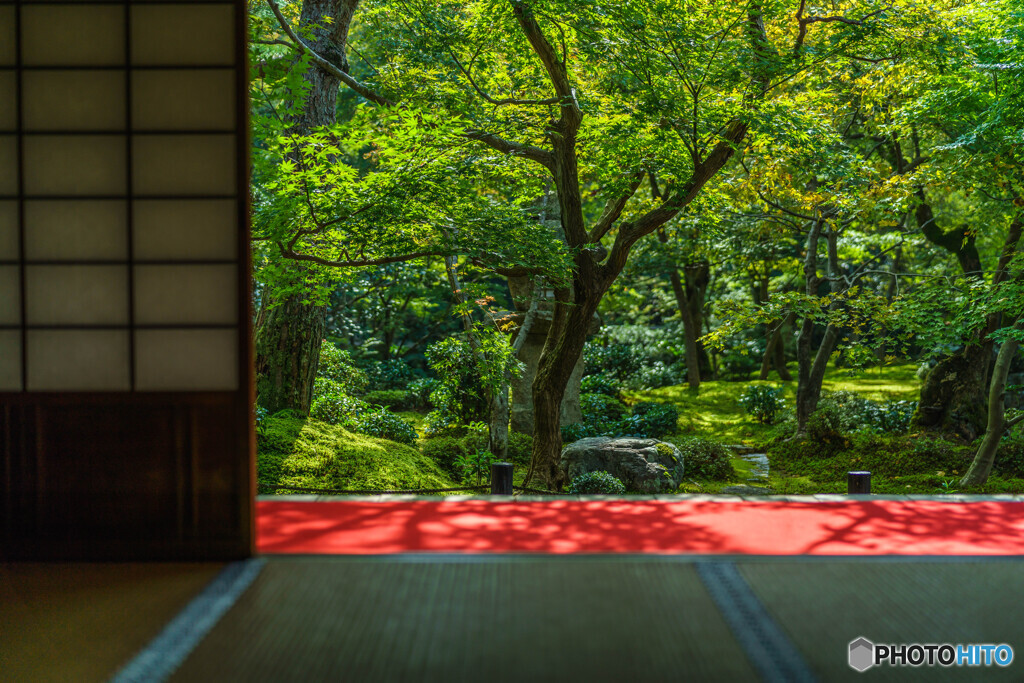 圓光寺の・・・