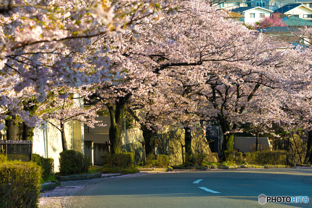 通学路