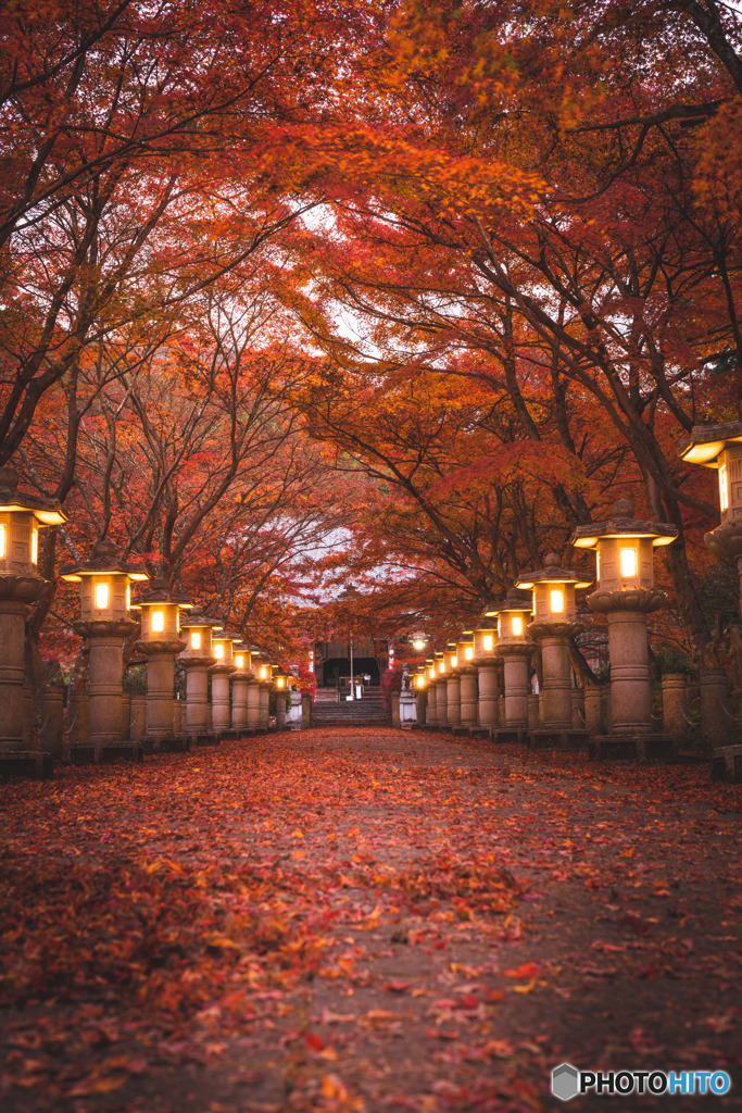 高山寺