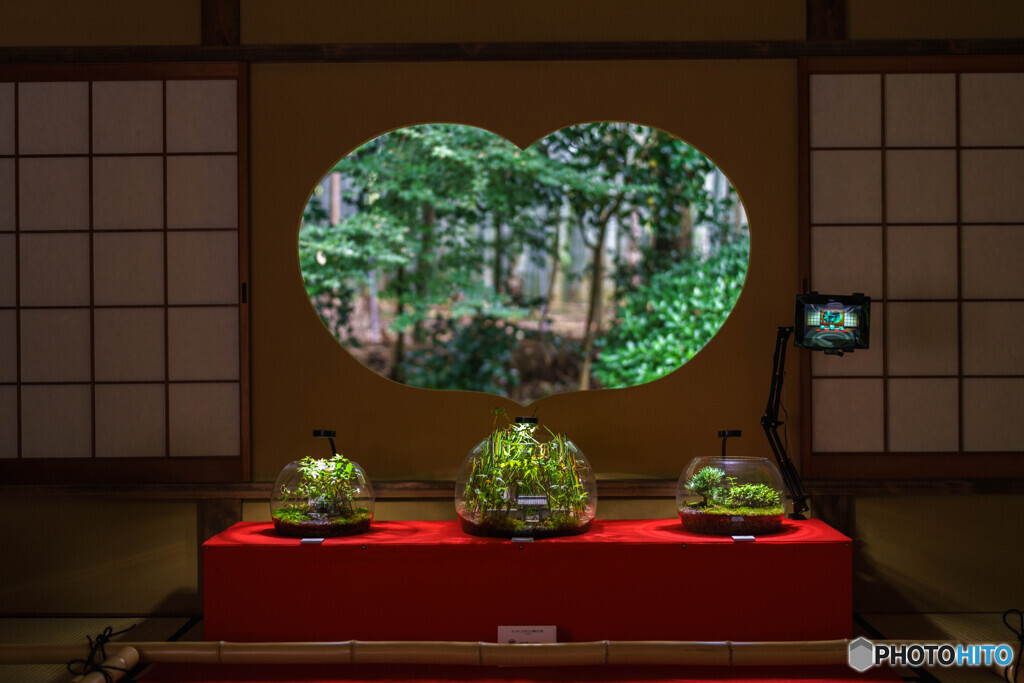 地蔵院
