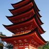 A5S_8762-1s