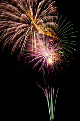 A5S_6171-1s