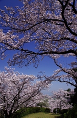 A5S_1102-1s