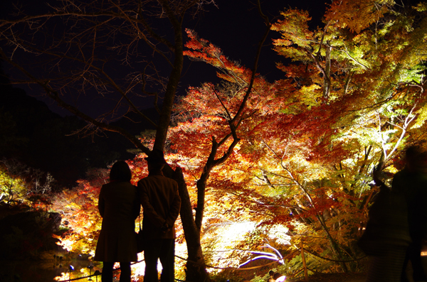 A5S_9250-1s