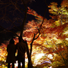 A5S_9250-1s