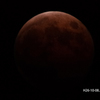 A5S_9720-1s
