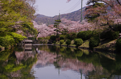 A5S_2608-1s