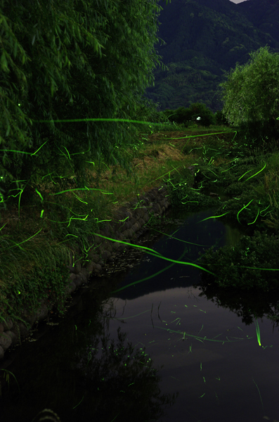 大橋H25-5-27_90X3_s