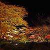 A5S_9276-1s