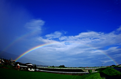 A5S_7484-1s