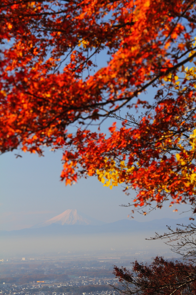 紅葉と富士