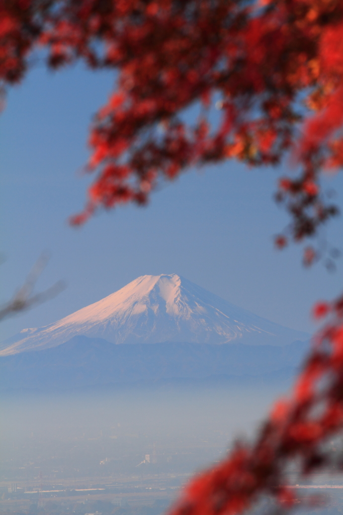 紅葉の隙間から