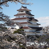 鶴ヶ城と桜１