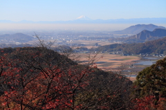 関東平野から望む富士山