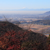 関東平野から望む富士山