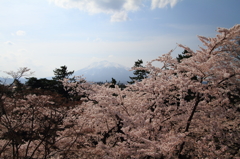 春の岩木山