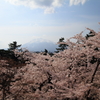 春の岩木山