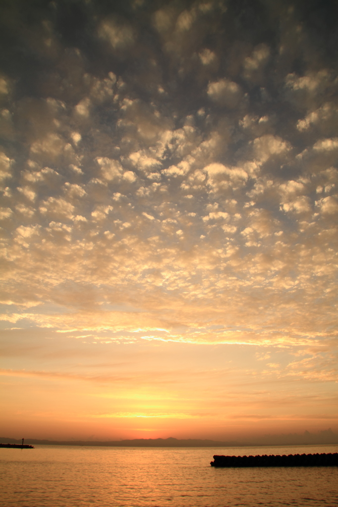 夕暮れ