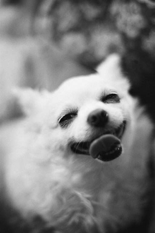 笑顔