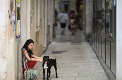 路地裏の犬