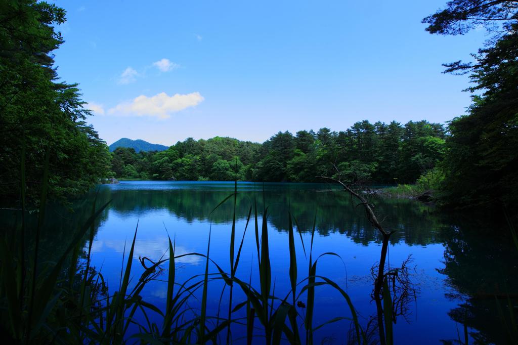 Memory's　blue