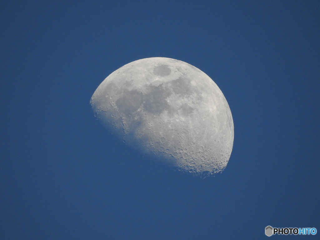 月齢8.5日