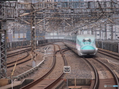 見慣れてしまったＥ５系