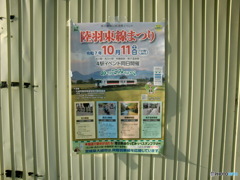 さぁどうする？