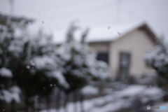 雪
