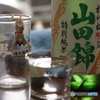 飲酒日スタート