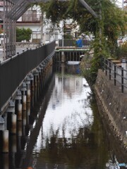 緒絶川